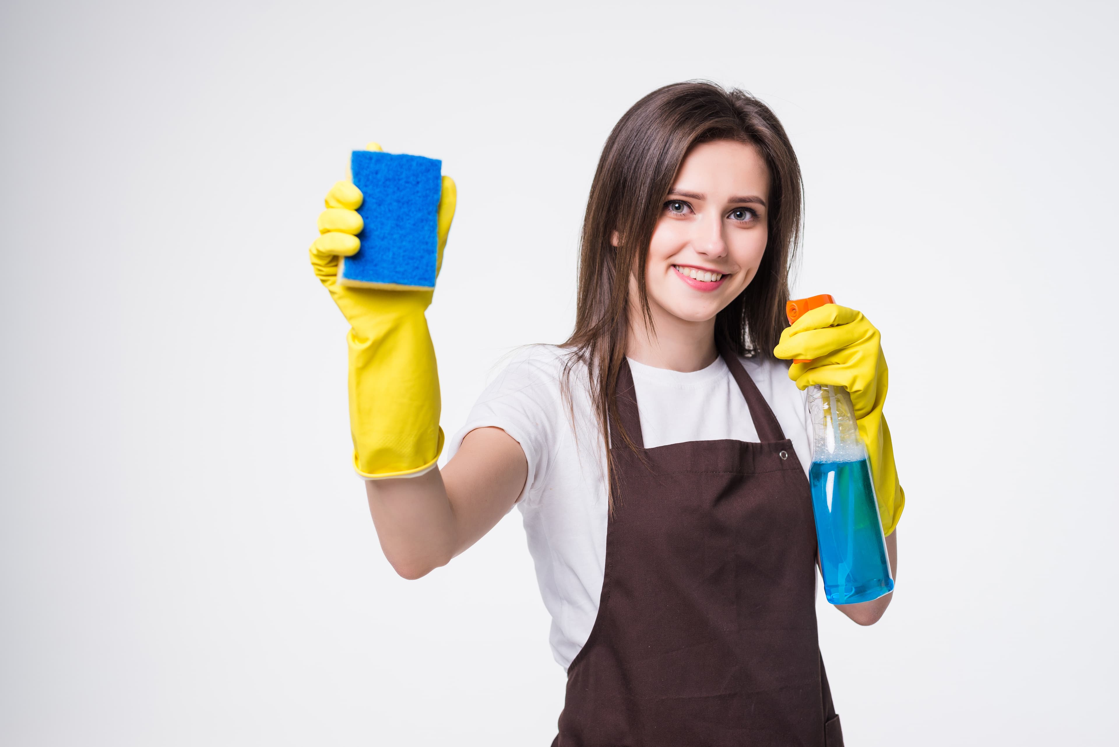 Professional Cleaning Team